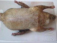 Утка (мулард, молодая, нежная) за 1 кг