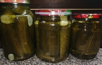 Огурчики консервированные